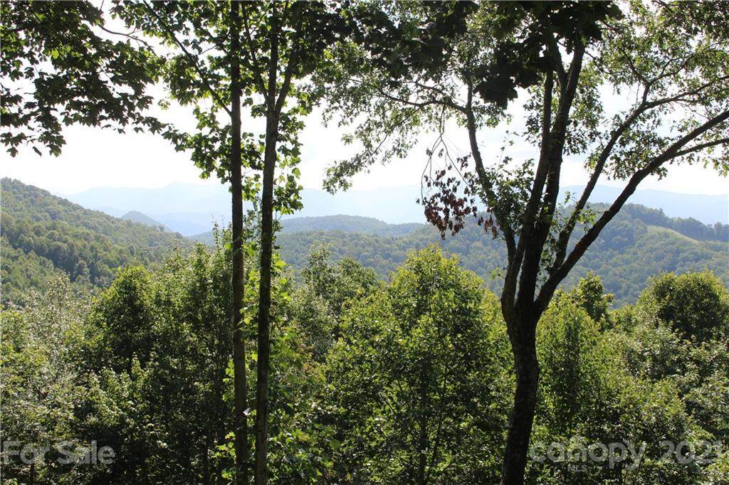 64 High Line Road - Photo 1
