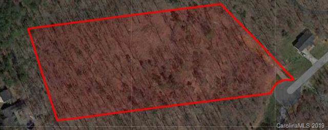 Lot 17 Wolf Road - Photo 1