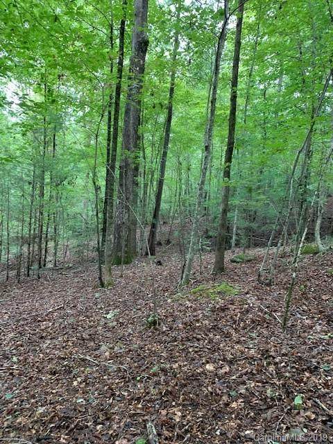 1202-B Cottrell Hill Road - Photo 1