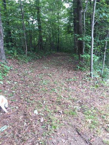 000 Heatherly Heights Road - Photo 1