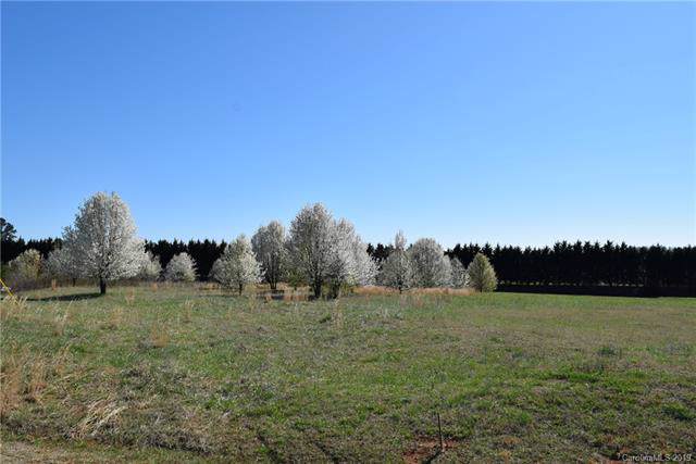 Lot 101 Evondale Road - Photo 1