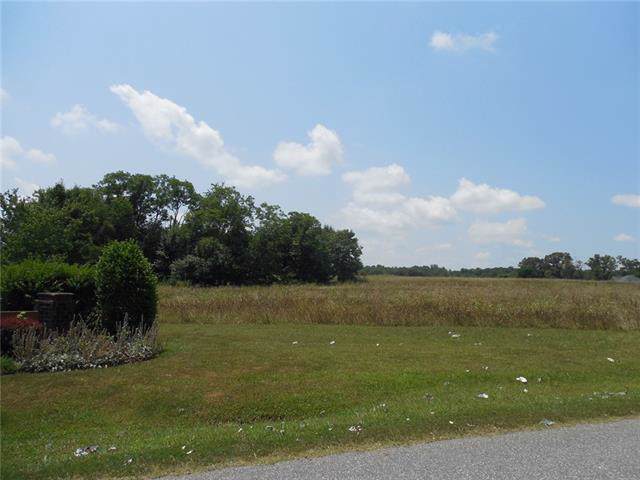 1305 Harper Lee Drive - Photo 1