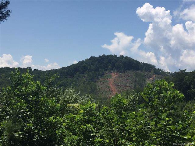 Lot 2 Piney Creek Drive - Photo 1