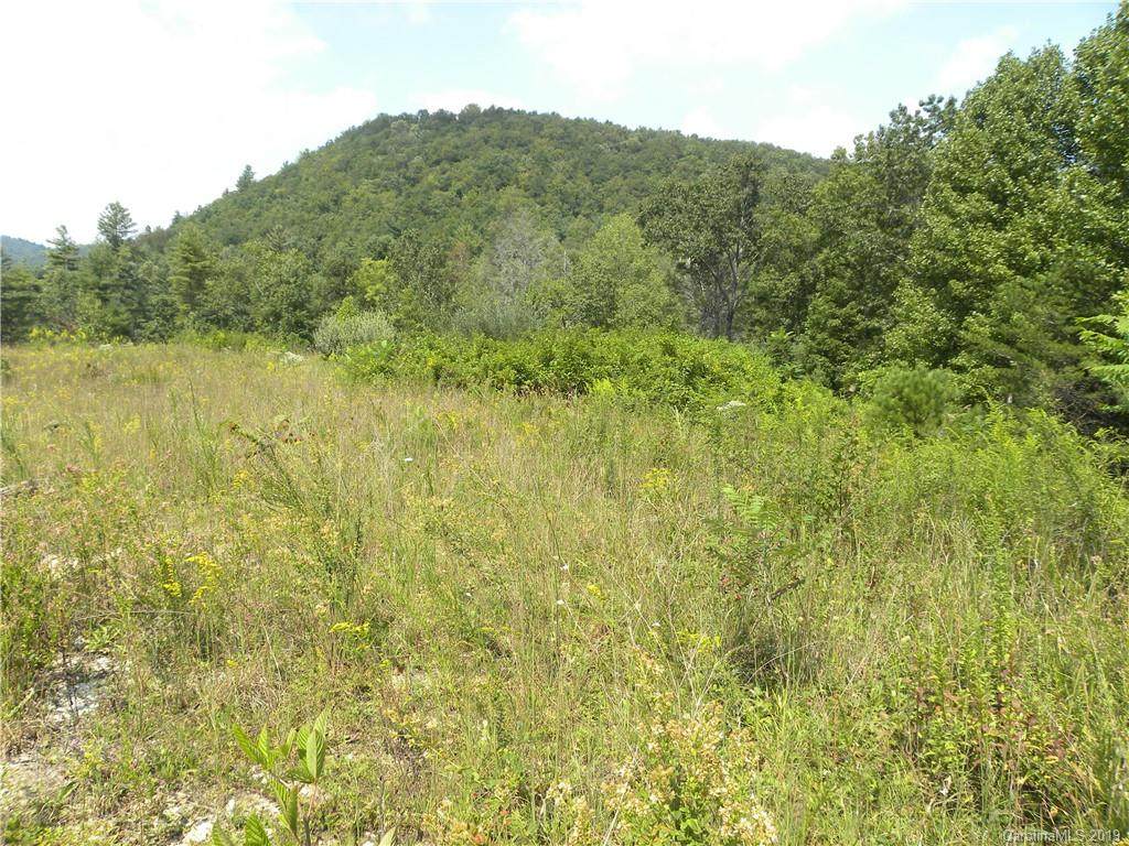 00000 Cabin Creek Road - Photo 1