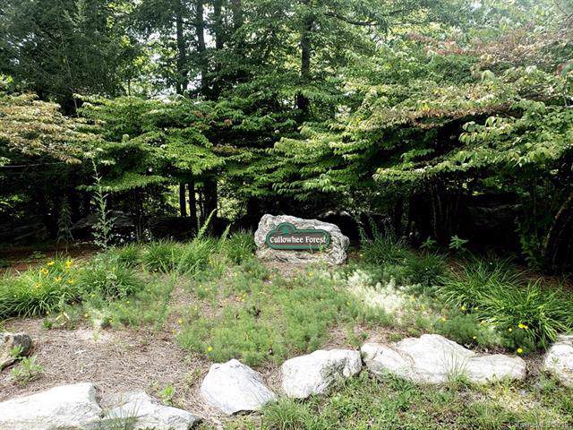 Lot 183 Elk Hair Drive - Photo 1