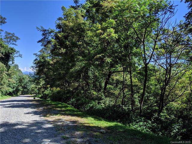 #74 & 76 Live Oak Loop - Photo 1
