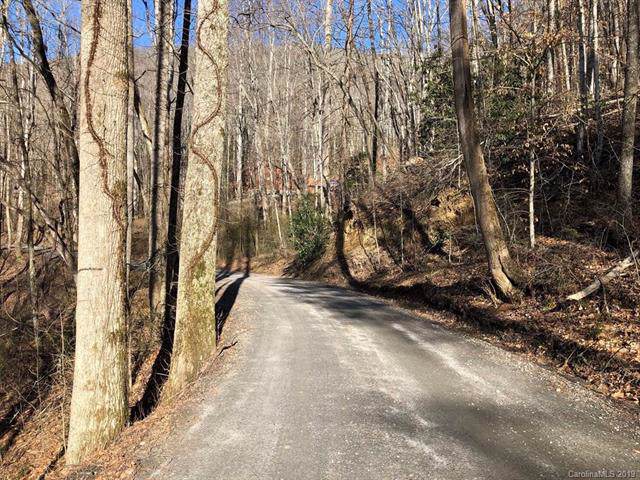 0 Parris Branch Road - Photo 1