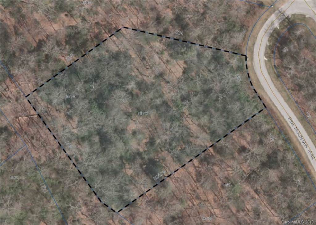 Lot M10 Pine Mountain Trail - Photo 1