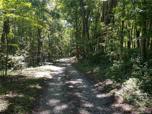 000 Haney Creek Road - Photo 1
