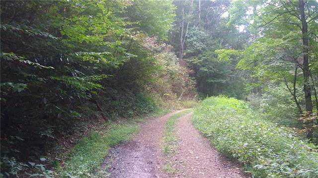 00 Conley Springs Road - Photo 1