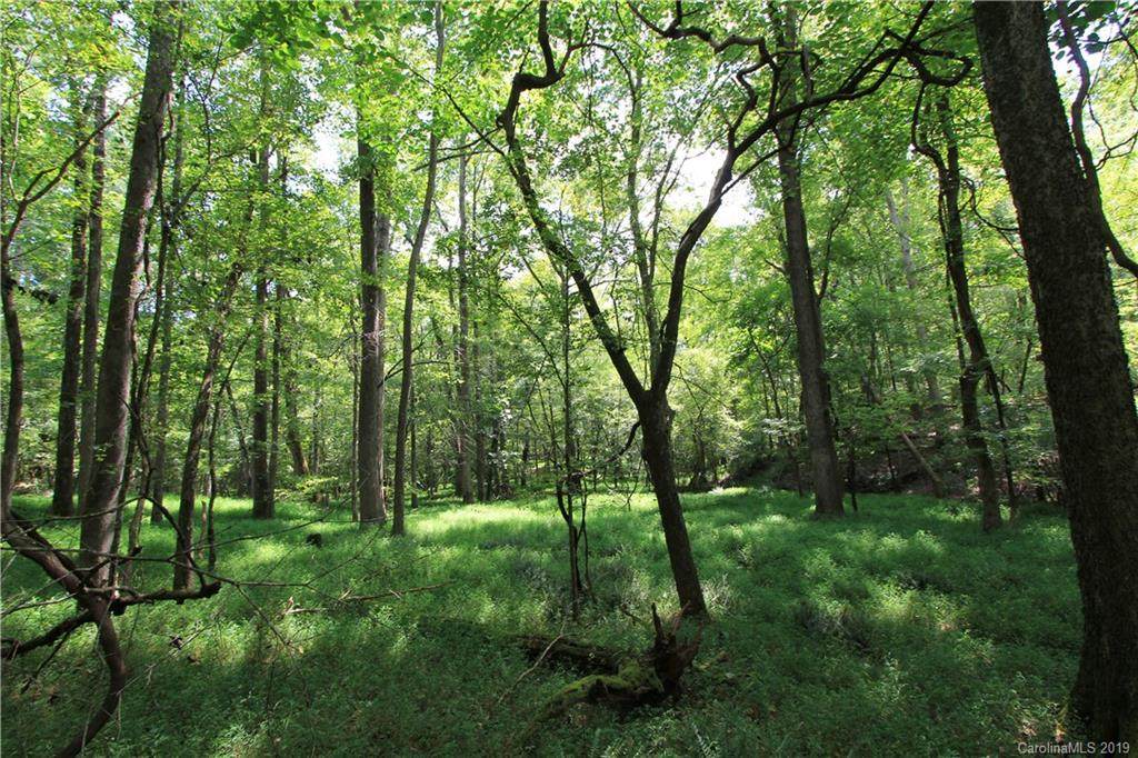 45.49ac Marion Lee Road - Photo 1