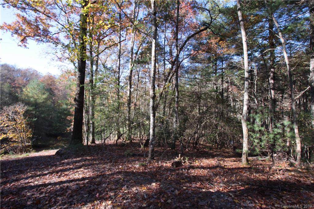 Lot 3 Whitaker Cove Road - Photo 1