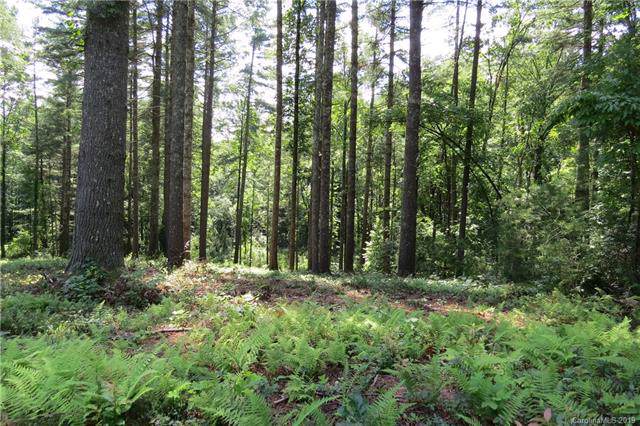 L 66 Stone Field Trail Road - Photo 1