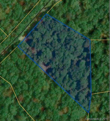 Lot 80 Arrowhead Trail - Photo 1