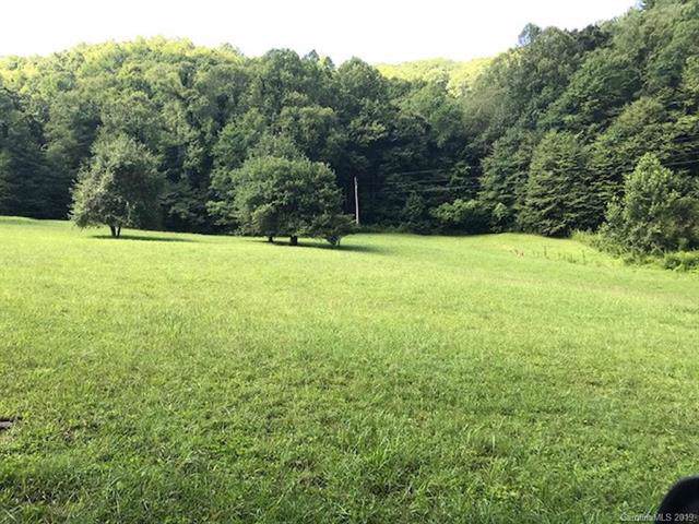 00 Franks Creek - Photo 1
