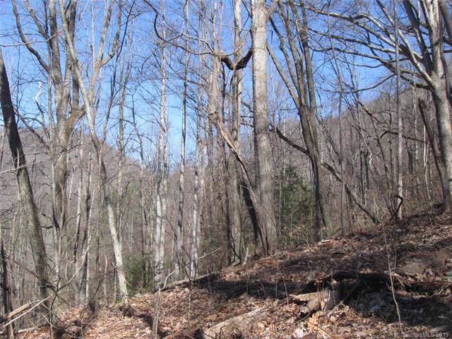 00 Wildcat Walk - Photo 1
