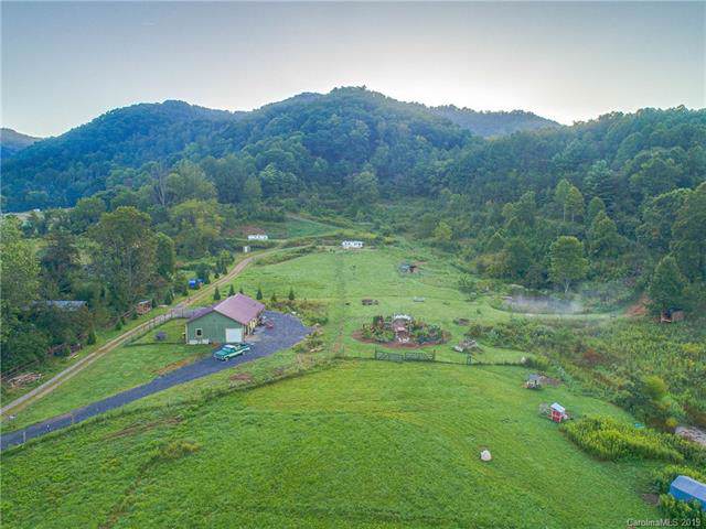 206 Frog Holler Cove - Photo 1