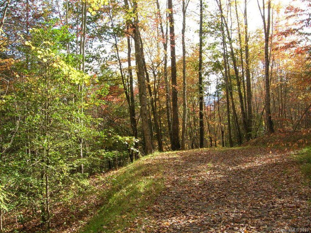 Lot #28 Thomas Divide Way - Photo 1