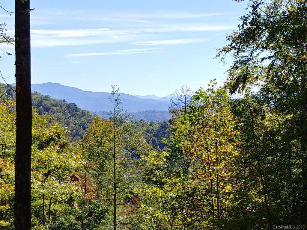Lot #31 Thomas Divide Way - Photo 1