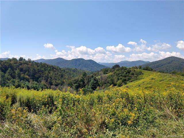 00 Sandy Bottom Road - Photo 1