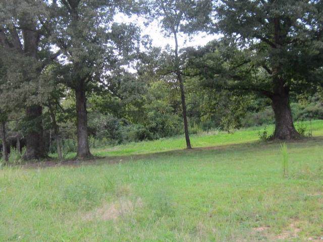 3415 Bowman Road - Photo 1