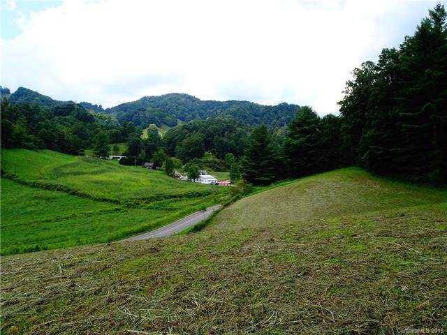 455 Moses Branch Road - Photo 1