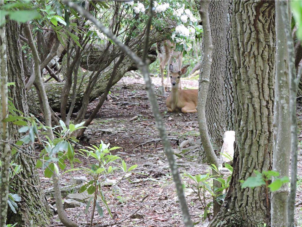 0 Hickory Springs Road - Photo 1
