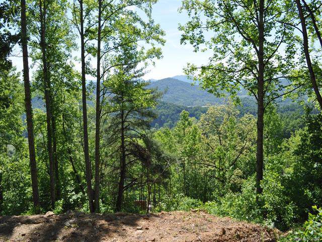 Lot 122 Charlottes Peak Ridge - Photo 1