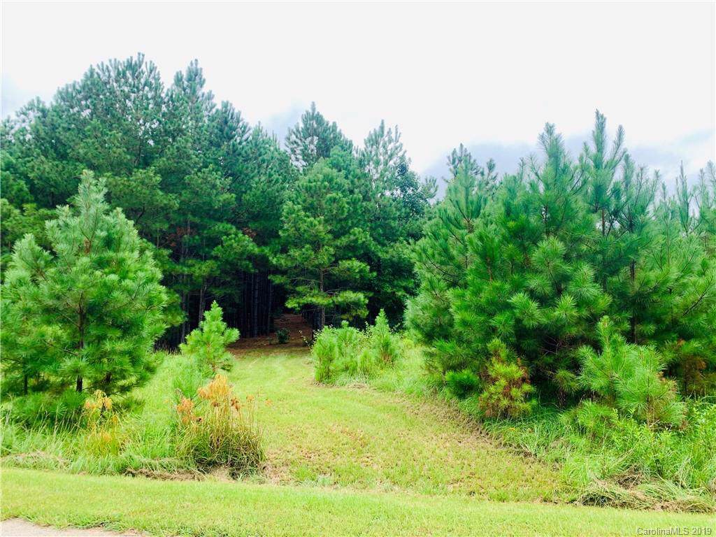 lot 89 Riverbluff Lane - Photo 1