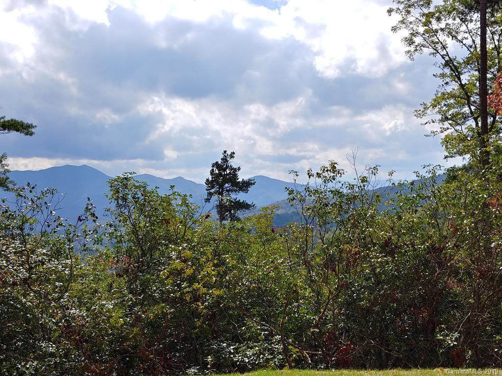 Lot #42 Thomas Divide Way - Photo 1