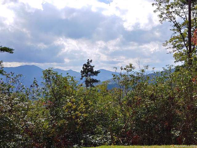 Lot #42 Thomas Divide Way - Photo 1