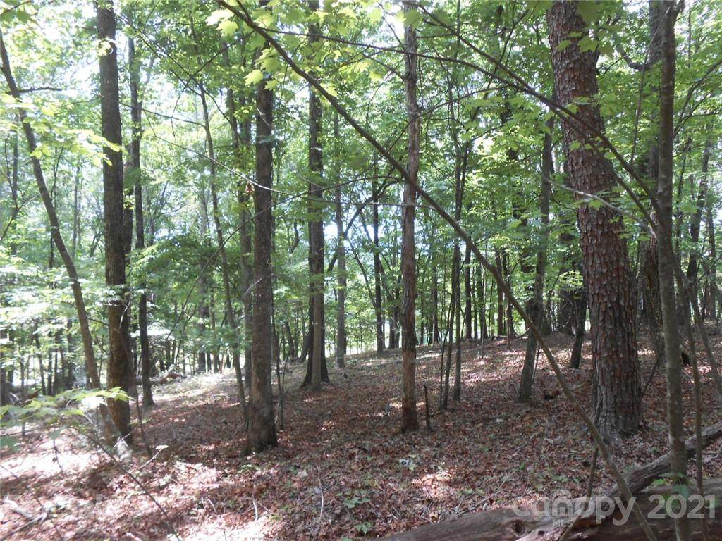 000 Lytle Mountain Road - Photo 1