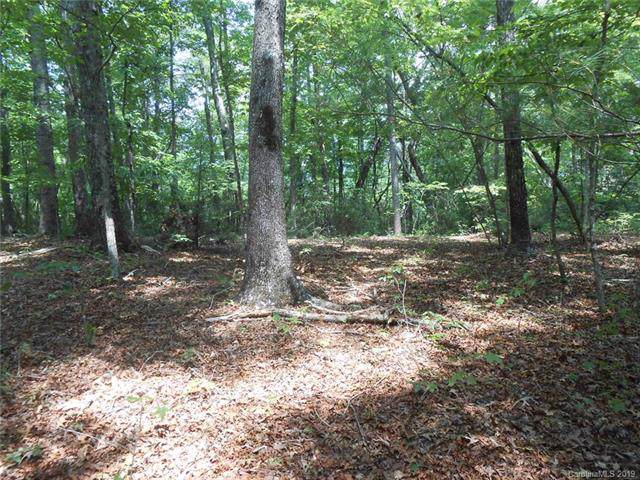 000 Lytle Mountain Road - Photo 1