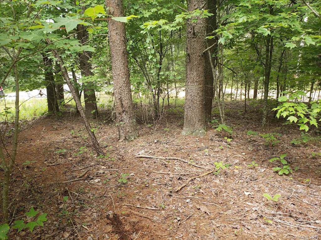 LOT 9 Chimney Rock Road - Photo 1