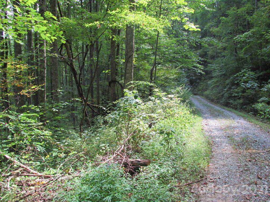 00 Gobbler Ridge - Photo 1