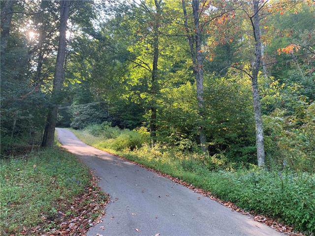 000 Aleesha Mountain Road - Photo 1