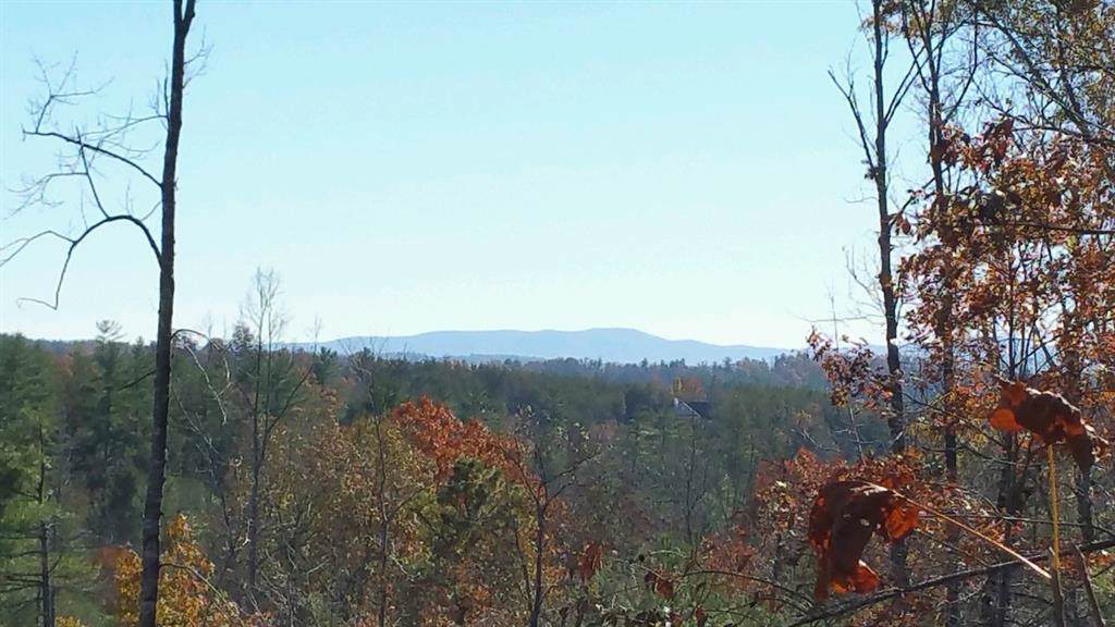 Lot 825 Whispering Hills Lane - Photo 1 Lot 825 Whispering Hills Lane - Photo 1