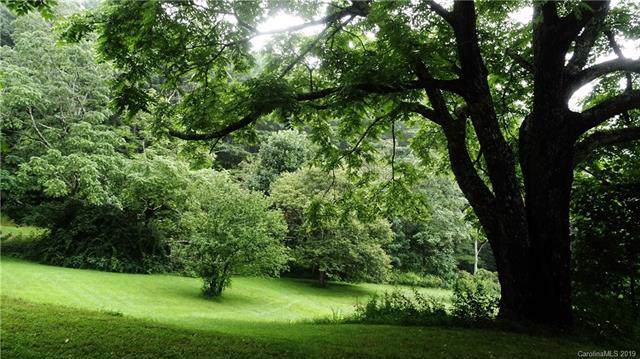360 Banjo Branch Road - Photo 1