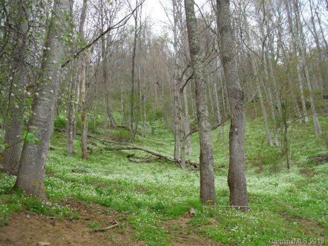 0 Lakewood Drive - Photo 1