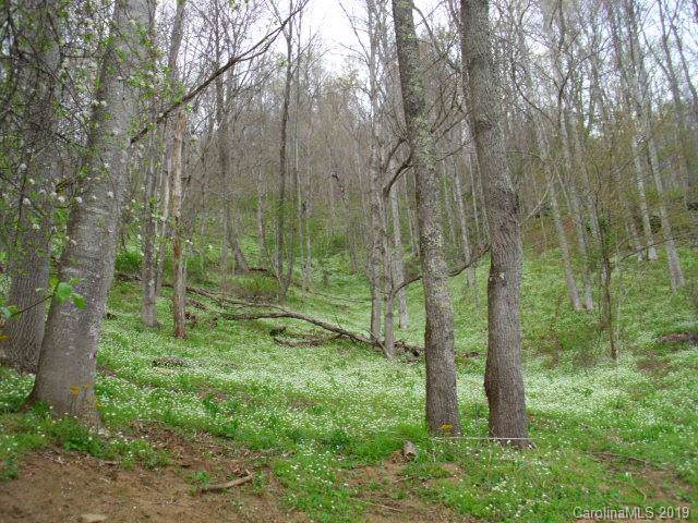 0 Lakewood Drive - Photo 1