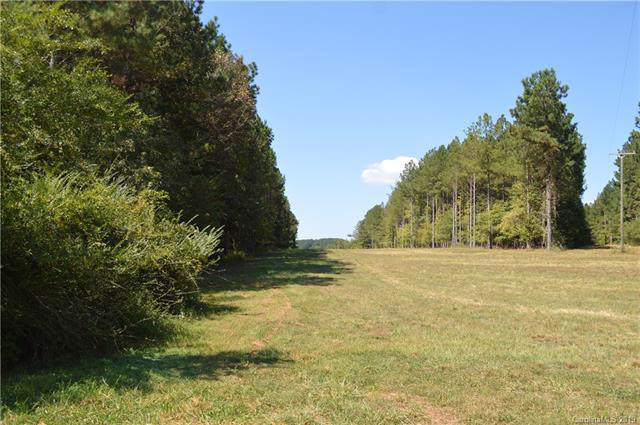 0 Jim Dobbins Road - Photo 1