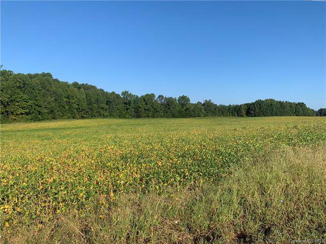 4301 Bandys Cross Road - Photo 1