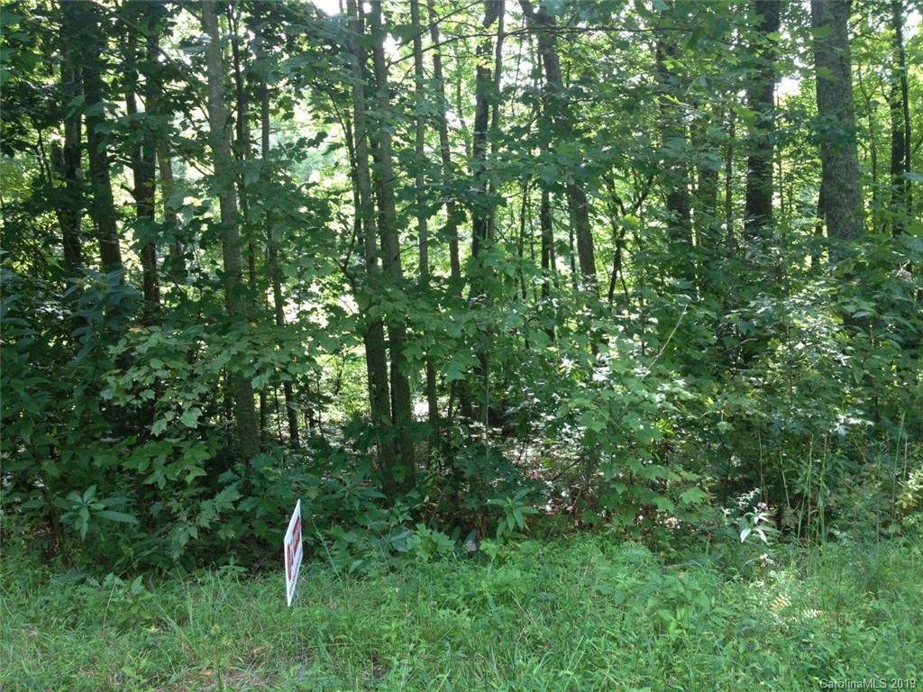 TBD Old Toxaway Road - Photo 1