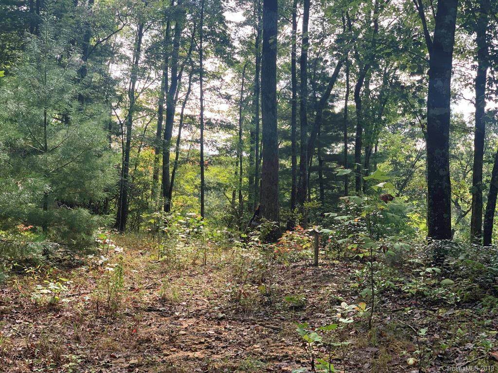 Lot 132 Green Hollow Lane - Photo 1