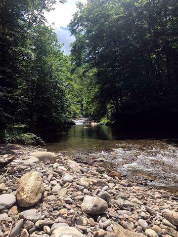 00 Bear Path Trail - Photo 1