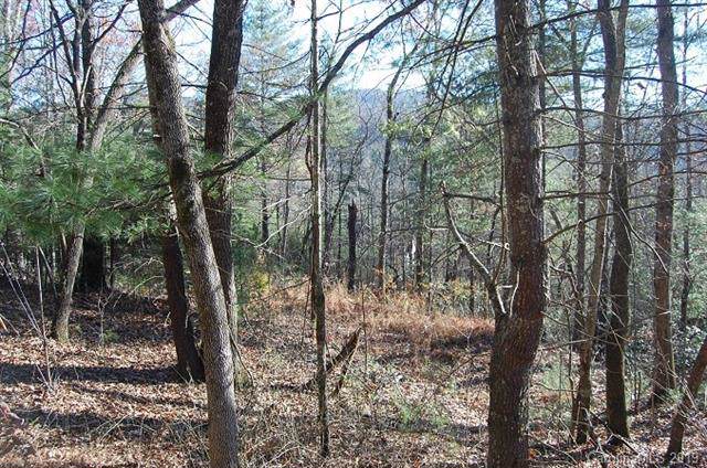 109 Pinewood Knoll - Photo 1