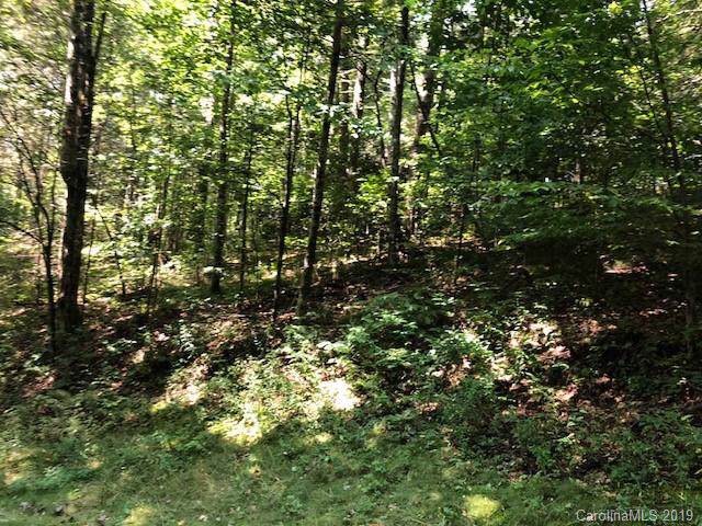 000 Trillium Ridge Road - Photo 1