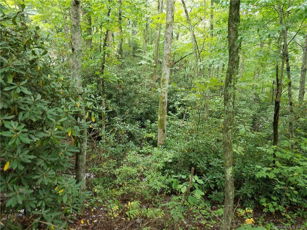 0000 Old Fort Road - Photo 1