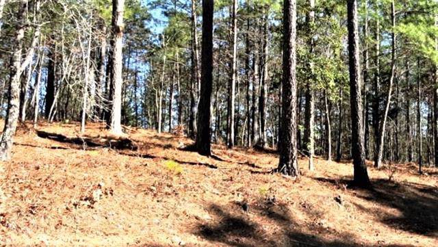 1318 Sunset Point Drive - Photo 1