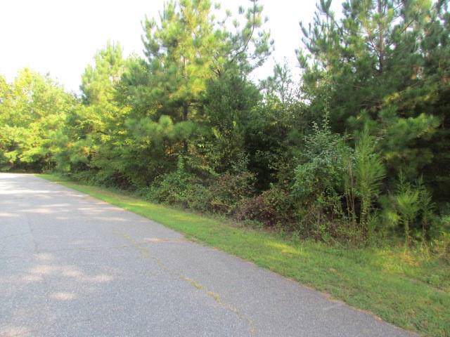 Beside 52 Moser Circle - Photo 1